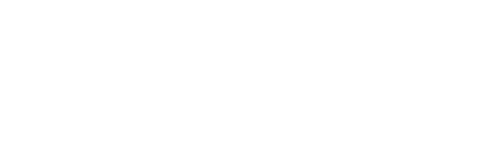 HWI Beratung Logo weiß